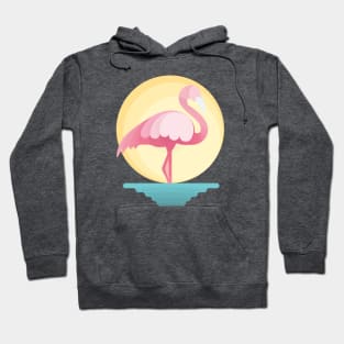 Million Dollar Flamingo Hoodie